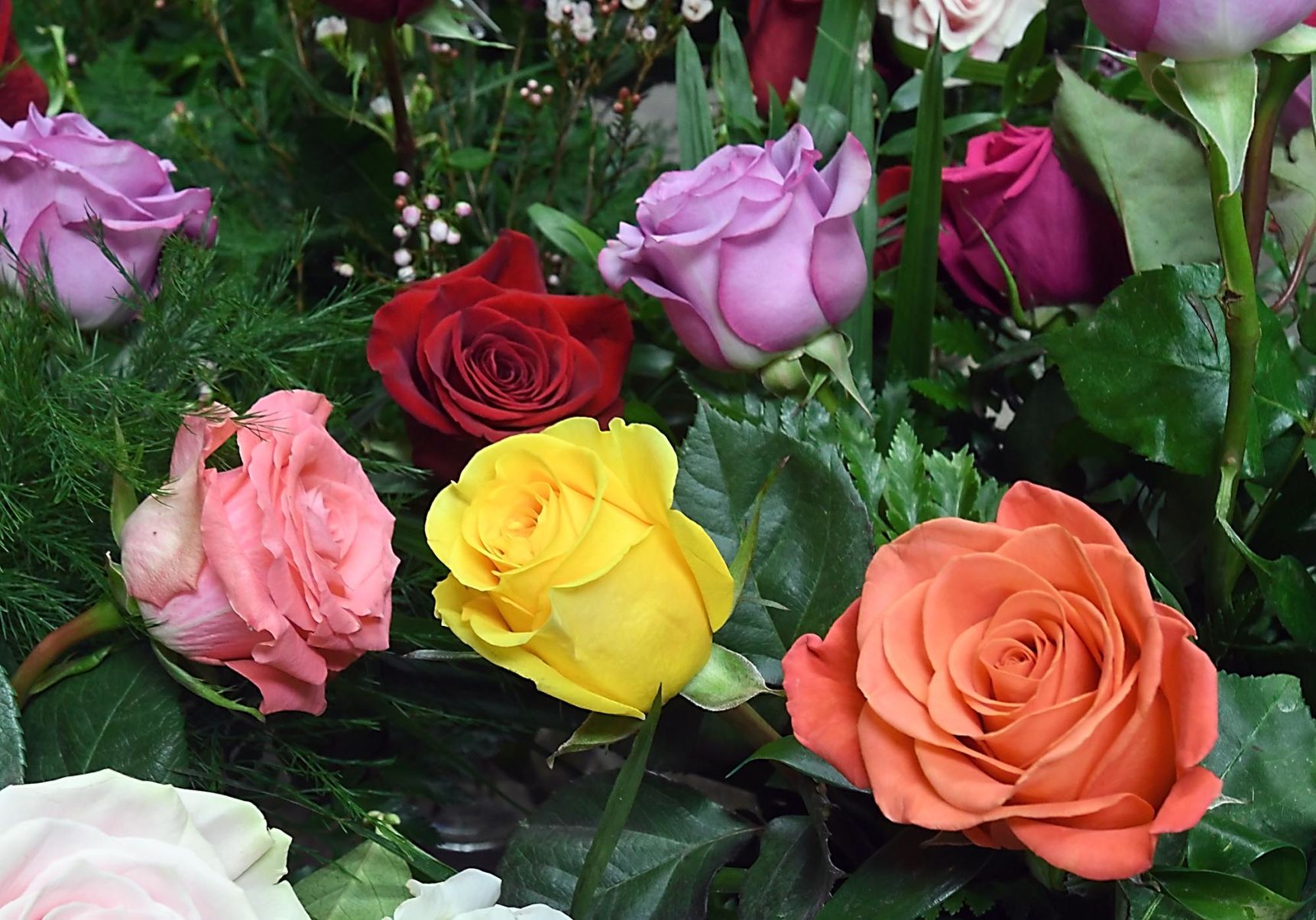 Valentine's flowers 4